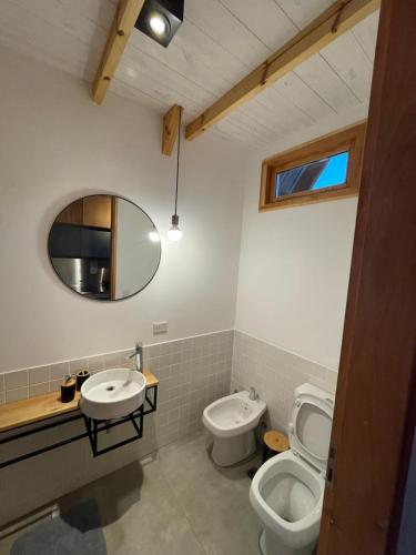a bathroom with a toilet and a sink and a mirror at El Diucón Eco Lodge in Lago Meliquina