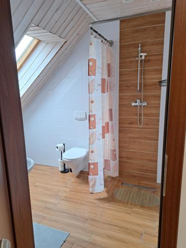 ein Bad mit einer Dusche und einem WC in der Unterkunft Noclegi Pod Modrzewiem in Powidz