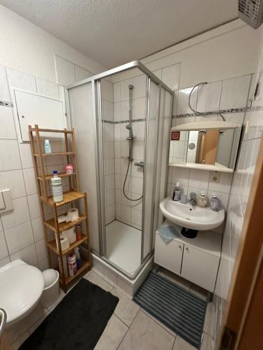y baño con ducha, lavabo y aseo. en Haus mit 3 Apartments im Zentrum von Rostock, en Rostock