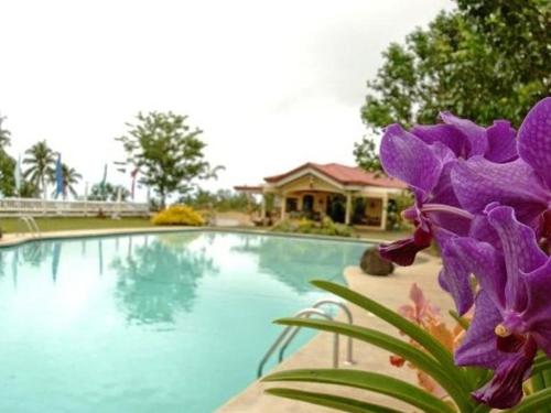 a swimming pool with purple flowers next to a house at Camiguin Highland Resort in Mambajao