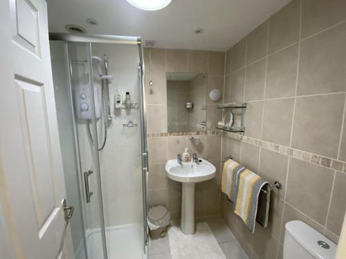 a bathroom with a shower and a sink at Self catering private annex near Ferndown in Ferndown