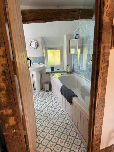 Annie’s Cottage في Llanrhaeadr-ym-Mochnant: حمام مع حوض استحمام ومغسلة