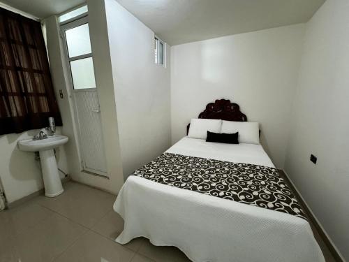 a white bedroom with a bed and a sink at PEDRERA 39 in San Felipe Hueyotlipan