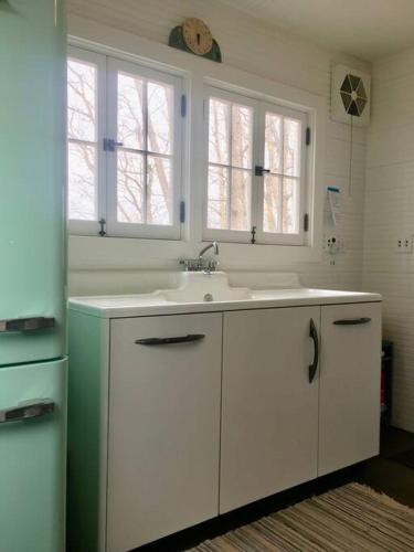 a white bathroom with a sink and two windows at Historic Farmhouse by Nature Preserve in Charleston