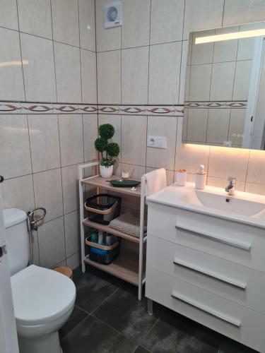 La salle de bains est pourvue d'un lavabo, de toilettes et d'un miroir. dans l'établissement Los Caballos, à Alcossebre
