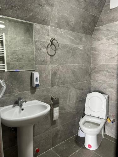 a bathroom with a sink and a toilet at Deka Achkhoti in Stepantsminda