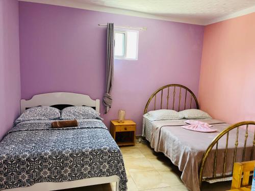 two beds in a room with purple walls at Casa Adriano & Filomena in Portela