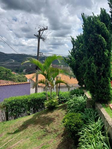 a garden with palm trees and a utility pole at Pousada Inconfidência Mineira in Ouro Preto