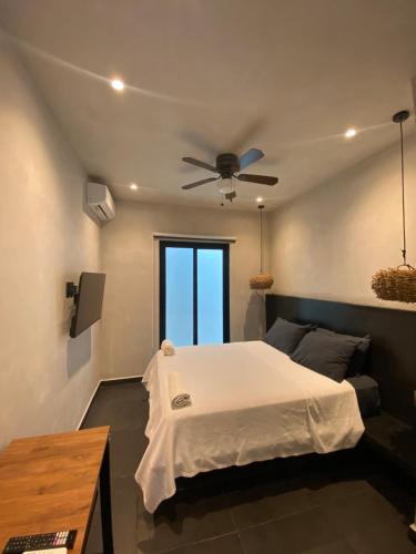 1 dormitorio con 1 cama y ventilador de techo en Coco Live Suites, en Playa del Carmen