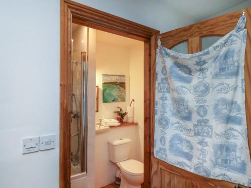 un bagno con un water e una tenda da doccia blu di Daffodil Cottage a Danby