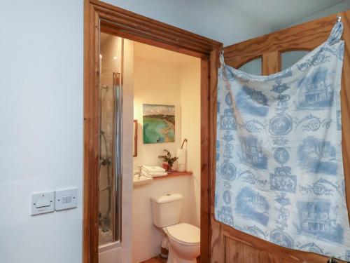DanbyにあるDaffodil Cottageのバスルーム(トイレ、青いシャワーカーテン付)