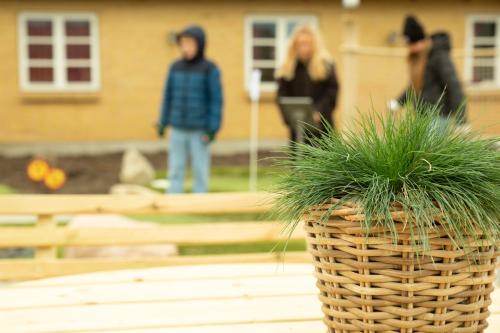 a potted plant sitting on a table in a yard at Rønnes Hotel in Fjerritslev
