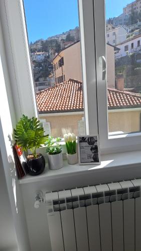 ein Fenster mit Topfpflanzen auf einem Fensterbrett in der Unterkunft Casa vacanze Mami in Triest