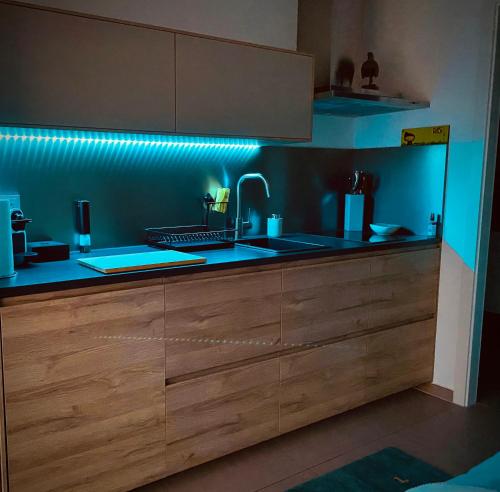 - une cuisine avec un évier et un mur bleu dans l'établissement Schöne Aussichten mitten in Berlin - il sole, à Berlin