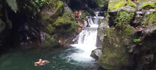 un grupo de personas nadando en una cascada en Pozas Guacimo, en Guápiles