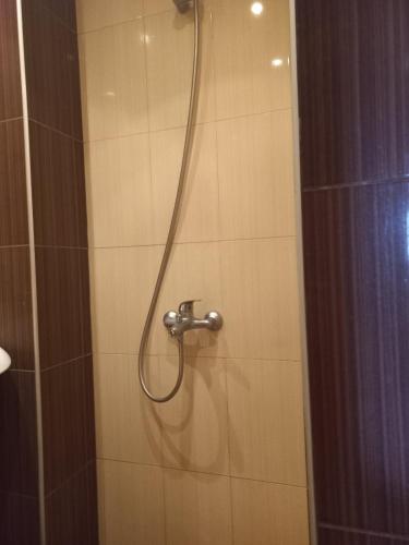 a shower with a shower head in a bathroom at Къща в село Катунци in Sandanski