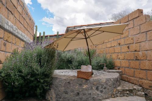 a tan umbrella sitting on a stone wall at Armadillo Mágico in Armadillo