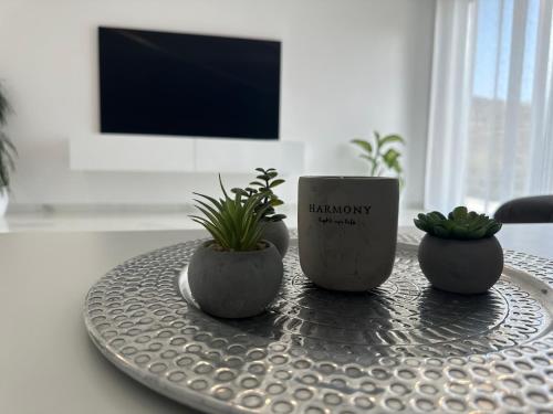 Gallery image of Apartma 78 in Koper