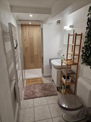 La salle de bains est pourvue d'une douche, de toilettes et d'un lavabo. dans l'établissement Studio Bellevue indépendant rénové janvier 2023 piscine parking proche centre Annecy, à Poisy