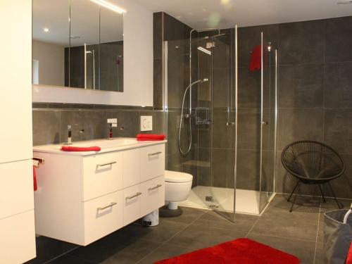 a bathroom with a shower and a sink and a toilet at Alpchalet Staufner Quelle in Oberstaufen