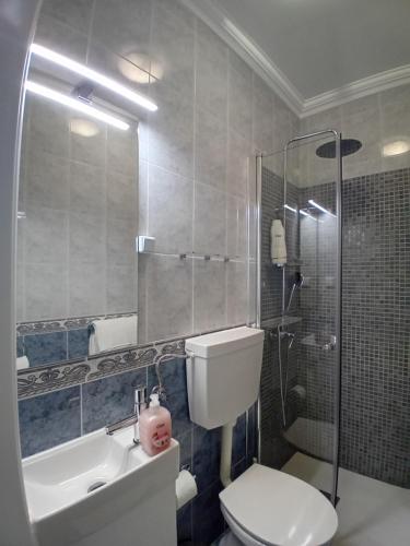 Un baño con inodoro, lavabo y ducha. en Chalas bedroom, en Nazaré