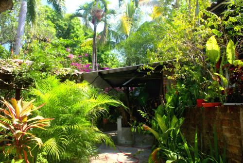 un jardin avec des plantes luxuriantes et un bâtiment dans l'établissement Hostal Delmy, à Suchitoto