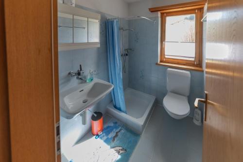 a bathroom with a sink and a toilet and a window at casa Pagnoncini in Prada