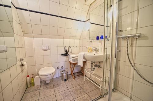 a bathroom with a toilet and a sink and a shower at Wohnung-Landwind in Süddorf