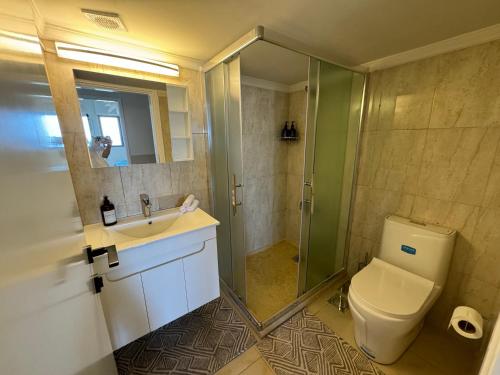 a bathroom with a shower and a toilet and a sink at Nahr Ibrahim Suite 