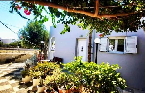 a group of potted plants in front of a house at DP Homes Studio Mimika Santorini in Perissa