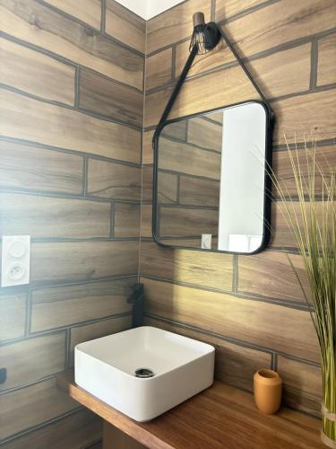 une salle de bain avec un lavabo blanc et un miroir dans l'établissement La Gravette, 10mn du ZooParc de Beauval, à Faverolles