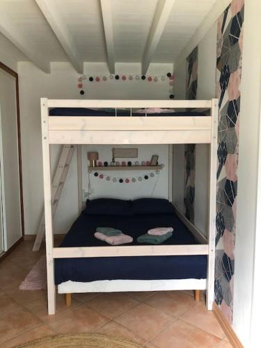 - un lit superposé pour enfants dans un dortoir dans l'établissement Le Gîte du Port Hublé, à Chaniers