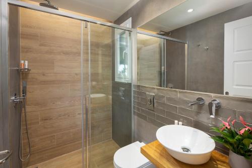 a bathroom with a glass shower and a sink at Cote Jardin in Barbati