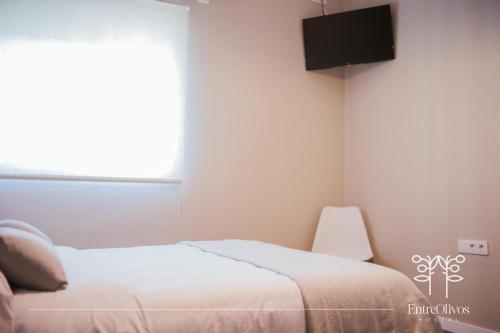 a bedroom with a bed and a television on the wall at HOSTAL ENTREOLIVOS in Badajoz