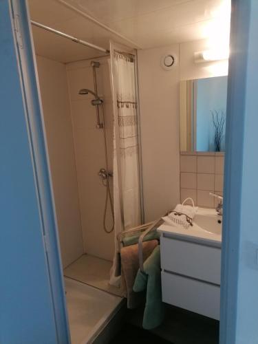 Rouvroy的住宿－Appartement moderne，带淋浴和盥洗盆的浴室
