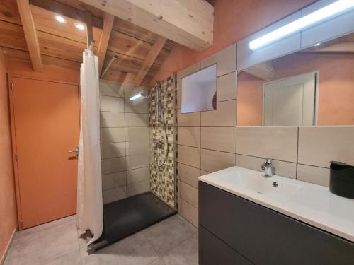 a bathroom with a sink and a shower at Gîte Verrières-en-Forez, 4 pièces, 10 personnes - FR-1-496-314 in Verrières-en-Forez