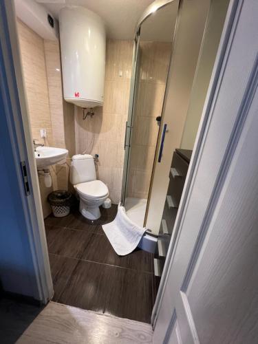 a bathroom with a shower and a toilet and a sink at Apartament Śnieżka in Zakopane
