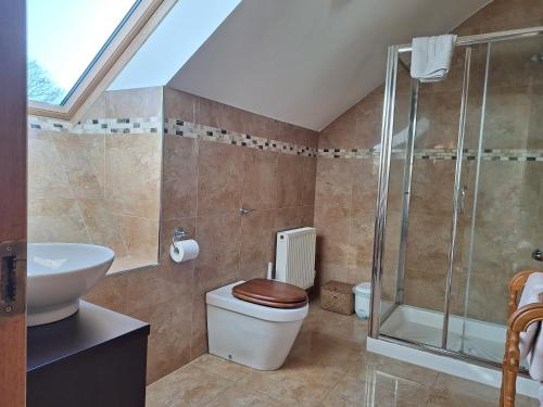 een badkamer met een douche, een toilet en een wastafel bij The Attic in Kilkenny