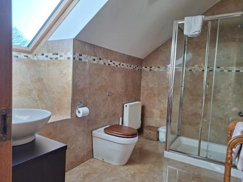 a bathroom with a shower and a toilet and a sink at The Attic in Kilkenny