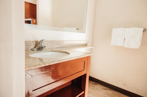 a bathroom with a sink and a mirror at Reidsville Inn & Suites in Reidsville