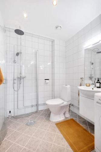 y baño con aseo, ducha y lavamanos. en Loft in the middle of Oslo City Center -2 bedrooms, en Oslo