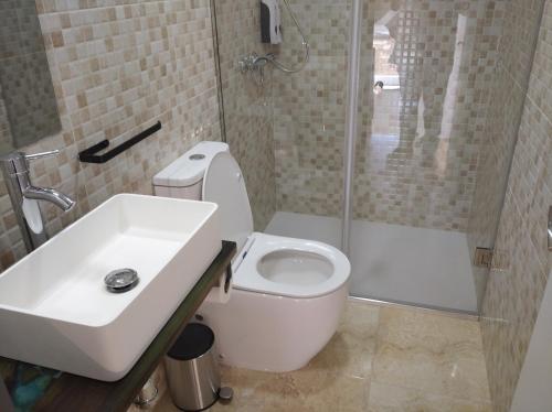 a bathroom with a toilet and a sink and a shower at A Travesía Dos Soños, Pedreiras in Sarria