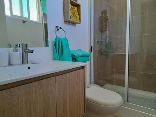 La salle de bains est pourvue de toilettes et d'une douche en verre. dans l'établissement Hogar Entre Viñas, à Casablanca
