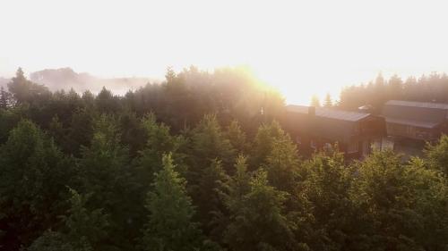 an aerial view of a forest with a train at Sodyba Brazylija in Taraldžiai