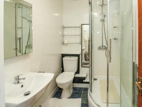 La salle de bains est pourvue de toilettes, d'un lavabo et d'une douche. dans l'établissement Kingfisher Cottage, à North Molton