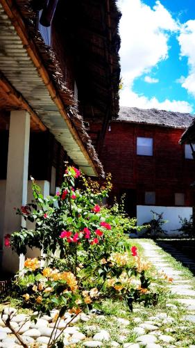 a bush of flowers in front of a building at Dreamer Resort in San Vicente