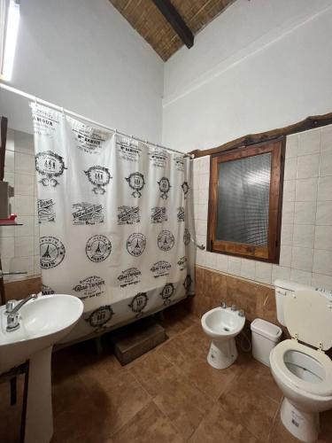 ein Badezimmer mit einem Waschbecken, einem WC und einem Duschvorhang in der Unterkunft La Ramada in Tafí del Valle