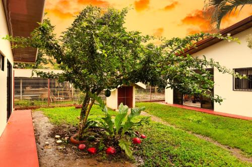 a fruit tree in a yard next to a building at Rio Celeste Birds Garden Apartment con Aire Acondicionado Comodidad en un Entorno Natural 1 in Upala