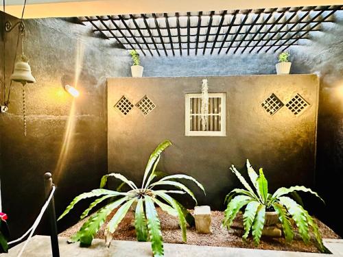 a room with some plants and a window at Colonial Retreat Villa in Talawatugoda