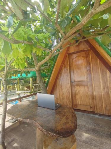 a laptop sitting on a table next to a tree at Coolis beach in Masbate